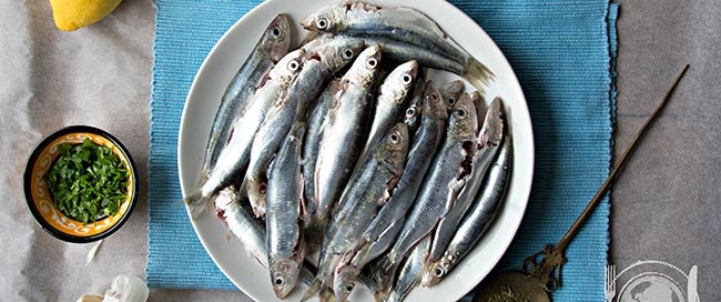 sarde o sardine