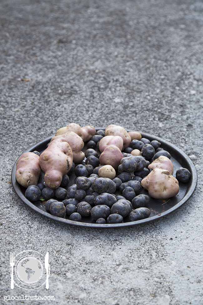 patate-novelle-viotelotte